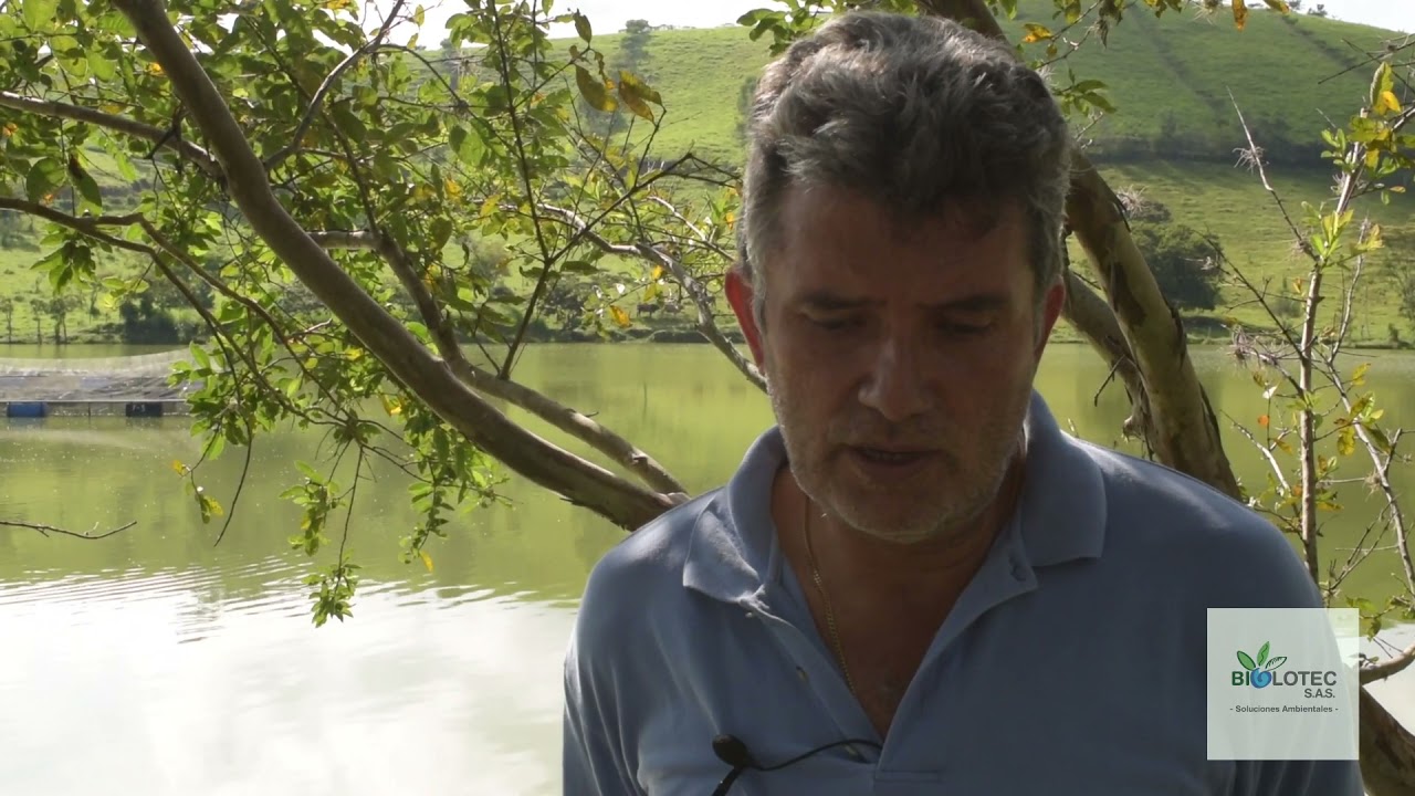 Caso ambiental