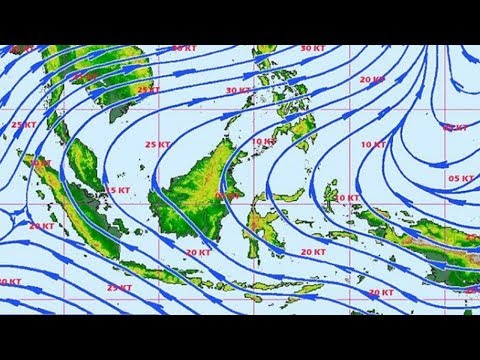 Cara efektif menurunkan berat badan dan berapa banyak Bagaimana saya bisa menurunkan berat badan saat duduk di rumah