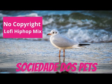 Lofi Hiphop | No Copyright - Para relaxar,  jogar, estudar ou apenas se sentir bem