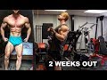 PAIN in your Elbows When curling - DO THIS. 2 Weeks Out, Physique Update