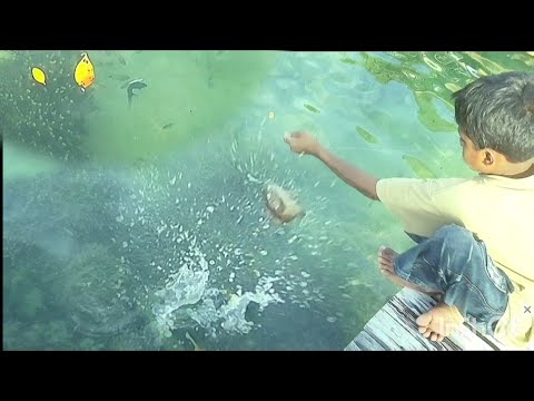 SPOT LANGKA❗ JARANG DI PANCING IKANNYA SANGAT RAKUS SAMPAI BOCIL LUPA MAKAN @MancingMasohi