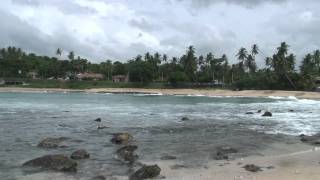 Tsunami Sri Lanka - Hooverphonic - Magenta