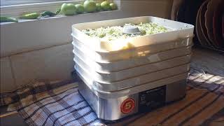 Trying out the Hamilton Beach dehydrator - urban homesteading