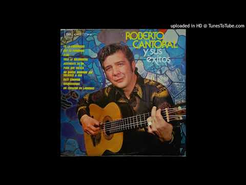 Soy Lo Prohibido video