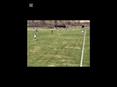 Video-Miniaturansicht