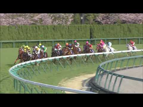 2018 Takamatsunomiya Kinen (G1)