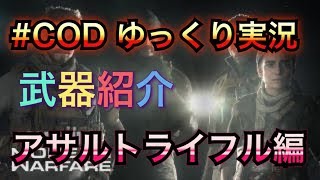 #ゆっくりCOD　MW実況　武器紹介アサルトライフル編　チベットスナギツネが逝く