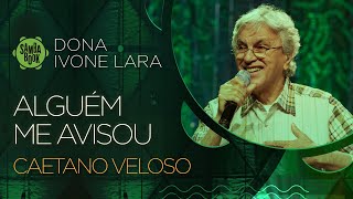 Alguém Me Avisou Lyrics English Translation