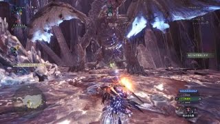 [MHW] モンハンワールド ゼノジーヴァ 5分1秒 ヘビィボウガン 貫通