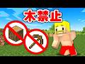 【縛りプレイ】木が禁止の世界でエンドラ討伐！【マイクラ】