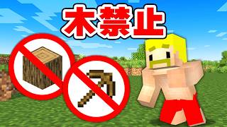 【縛りプレイ】木が禁止の世界でエンドラ討伐！【マイクラ】