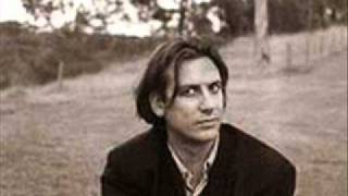 poirot - the seabirds (THE TRIFFIDS cover)