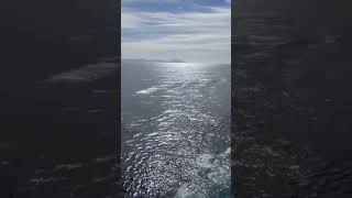 😍 Cruising on the Ocean ⛴️ #cruise #cruising
