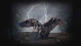 Tom Morello - &quot;Roadrunner&quot; ft. Leikeli47 (Official Lyric Video)