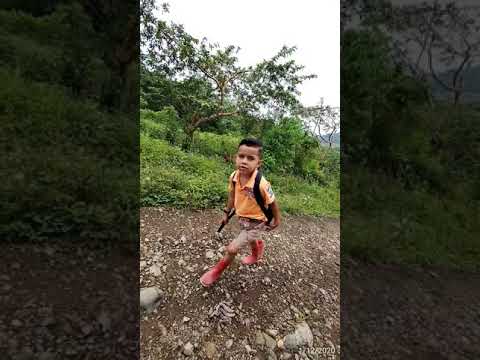 Me caí de la nube en que andaba.