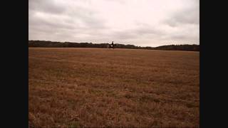 goodbye shaimus // &quot;if you love someone you should set them free&quot;