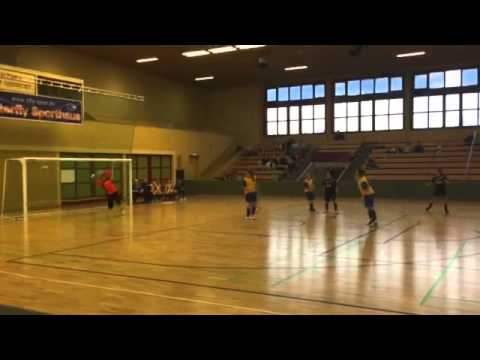 Türkiyemspor Berlin Frauen - 25.01.15 Hallenmeisterschaft (1/2)