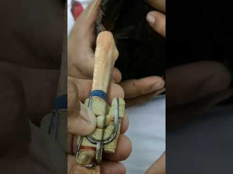 TARI NG WARAY WARAY TUTORIAL ONLY