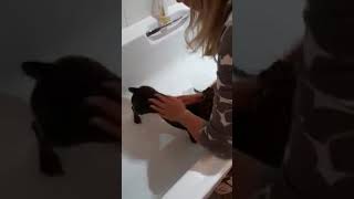 Bath Time - A Little Goes A Long Way