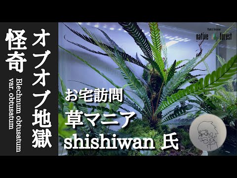 ブレクナム表について詳しく解説