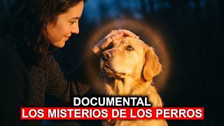 Documental: Los Misterios de los PERROS Revelados