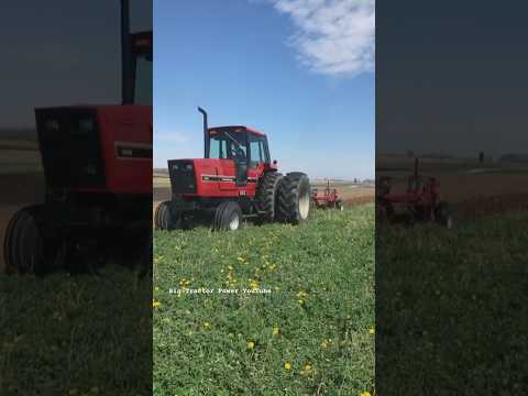 INTERNATIONAL 5488 Tractor #bigtractorpower #caseih #tractor #internationalharvester