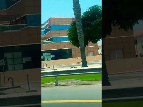 🌴 Exploring Nadd Al Shama Park, Dubai | Vlog 1 | June 18th 🌴 | #Dubai #Travel #InsideDubai #Shorts