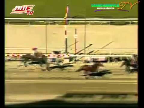 LA RINCONADA 8 CARRERA SABADO 29 DE NOVIEMBRE DEL 2014