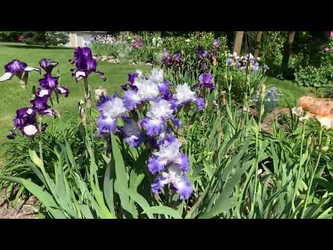 May 19 2024 Spring Gardens Tour