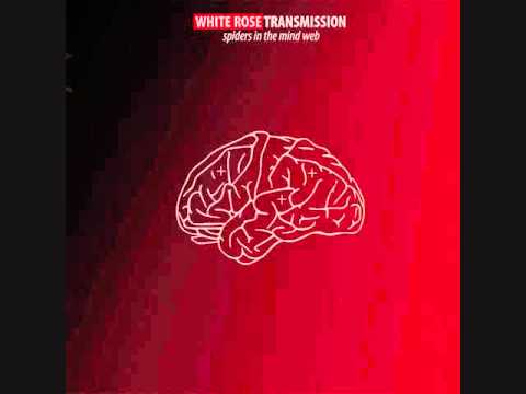 White Rose Transmission ~ Foreign Land