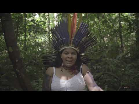 Ka’a zar ukyze wà-Os Donos da Floresta em Perigo(Flay, Edivan e Erisvan Guajajara 2019) Documentário