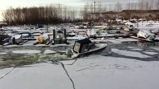 Волжанка 51 характеристики
