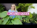Stunning Container Garden Ideas: Trees, Shrubs, Perennials, and Annuals | Garden with Marta