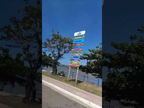 coqueiro seco Alagoas