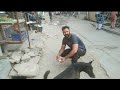 Dogs Ki Seva Viralvideo My New Vlog Love Dog