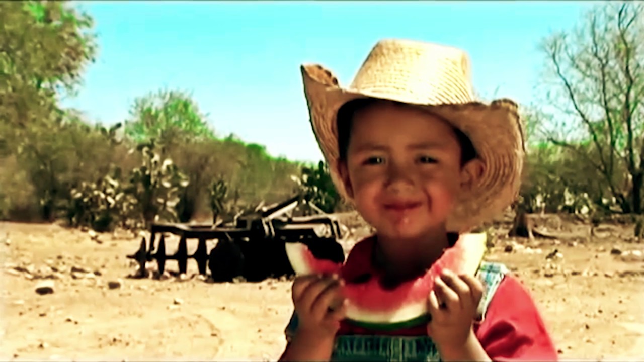Video HENESA - HENEMAQ