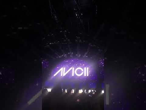 Martin Garrix Commemorate Avicii