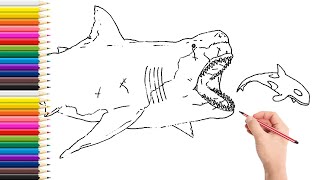 How to Draw a Megalodon - Prehistoric Shark - Drawing for Children