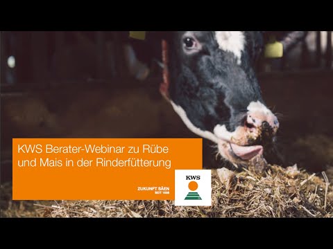 , title : 'KWS Berater-Webinar zu Rübe und Mais in der Rinderfütterung vom 04.03.2021'