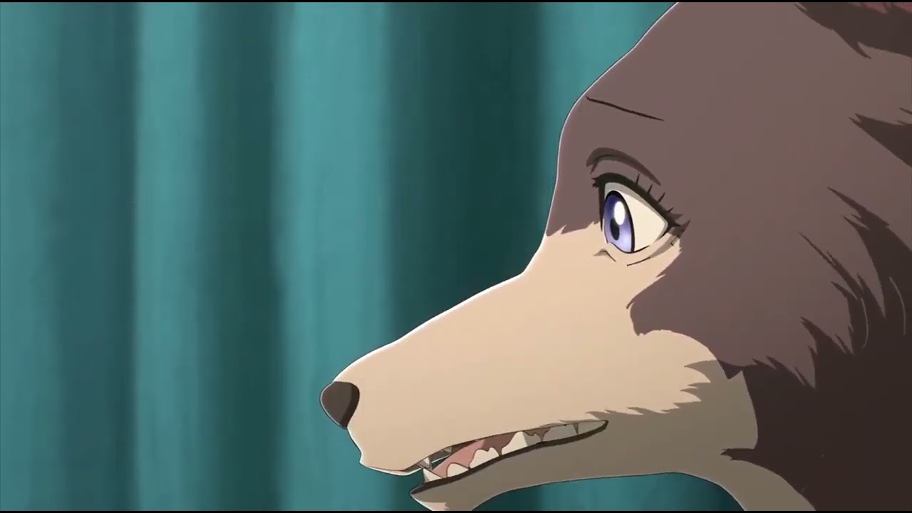 #Beastars Juno hits on Legoshi