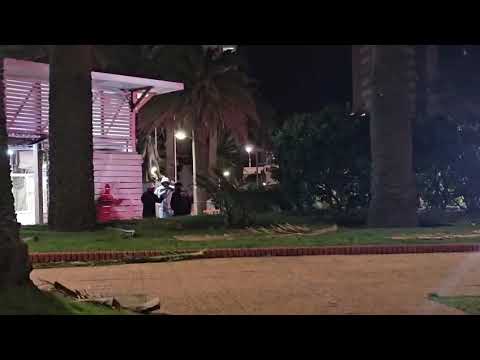 Edición Central 5/01 |  MART 2026: Feria Internacional de Arte en Punta del Este