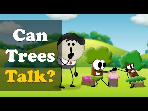 木は話せるのか？| ω・ω・ω・ω・ω・ω・ω・ω・ω・ω・ω・ω・ω・ω (Can Trees Talk? | #aumsum)