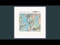 Nocturne by Wild Nothing