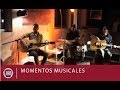 havalina - mamut 
