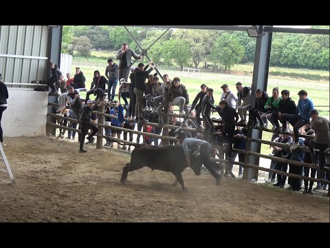 course au plan à la manade De L'Étrier le 22.04.2023