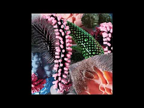 PREMIERE: OBCDN - Chasing Dragons (Karkasas Remix) [Gars Records]