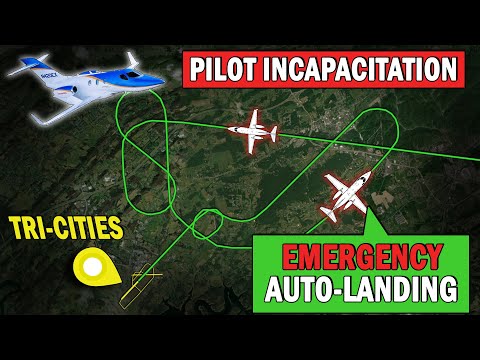 HondaJet Plane AUTO-LANDS ITSELF after "Pilot Incapacitation" | Certification TEST Complete!