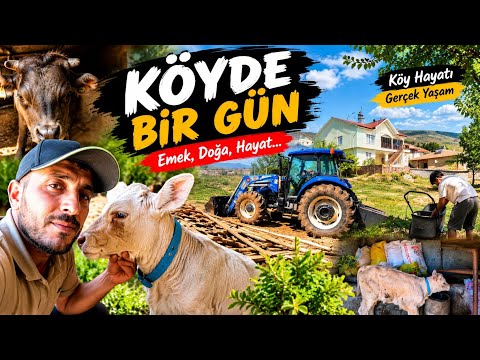 KÖYDE BİR GÜN! EMEK, HAYVANLAR VE GERÇEK KÖY HAYATI