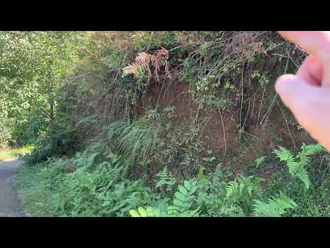 Продается земля, не сельхозназначения, Ортобатуми.