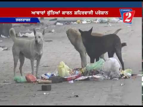 dog khatra, tarn-taran